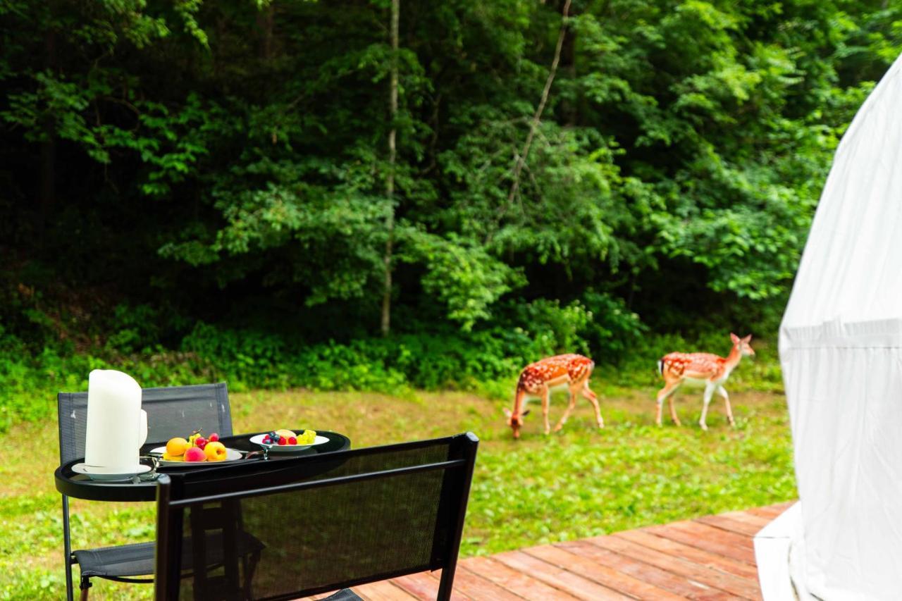 Solace Glamping 2 Sevierville Luaran gambar